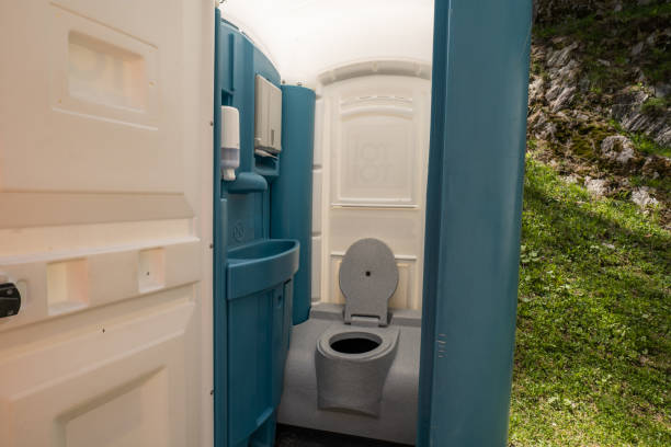 Best Portable Restroom Removal and Pickup  in South Lyon, MI